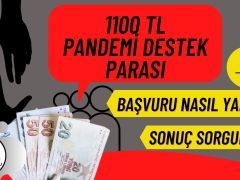 1100 TL Sosyal Yardım Parası Başvurusu! Sonuç Sorgulama!